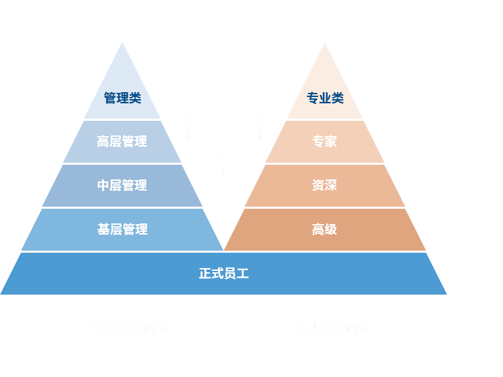 尊龙凯时人生就是博 